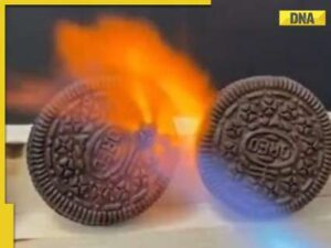 Viral Video of blowtorched Oreos cookie sparks health concerns, internet questions safety