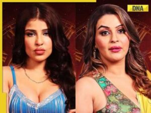 Bigg Boss 18: Edin Rose, Yamini Malhotra eliminated in double eviction, fans say ‘inko pehle din hi nikaal dena tha’