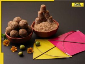 Makar Sankranti to Pongal: How India celebrates the harvest festivals?